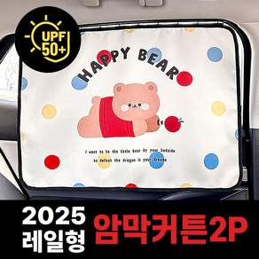 블루U 자동차 창문 햇빛가리개 암막 커튼 레일형, 2개, 곰곰