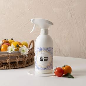 씻지말고 담금 500ml 스프레이 과일세정제 과일세척제, 1개