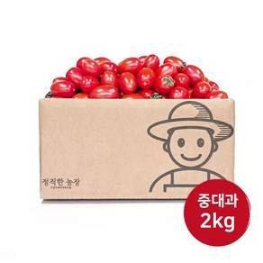 정직한농장 당일수확 산지직송 대추방울토마토, 1박스, (중과/3번) 2kg