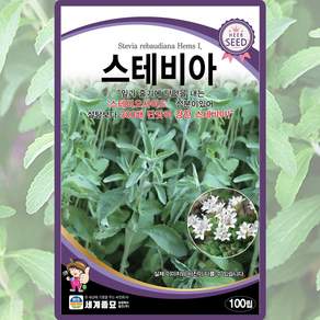 세계종묘 스테비아 씨앗 100립 스테비아씨 허브 종자, 1개