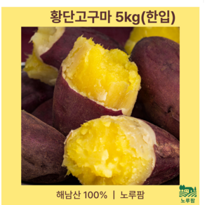 [노루팜] 해남 황단고구마 꿀고구마 호박 밤 세척 달콤, 1개, 5kg (한입)