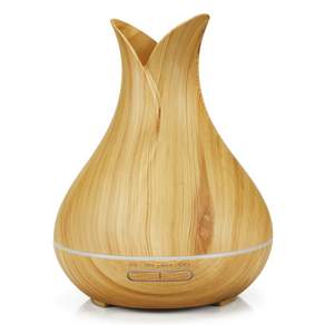 E-Net Innovation 휴미디파이어 PP ABS 일반가습기, YX-088(Light Wood Grain)
