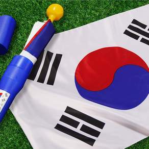 [방수처리] 100%국산 엉킴방지 태극기 게양대 포함세트 대형 가정용, 1개, 혼합색상