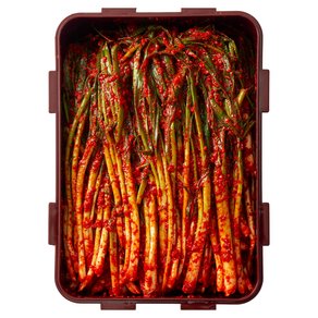 남다른 100%국산 30년 전통 전라도 파김치, 1kg, 1개