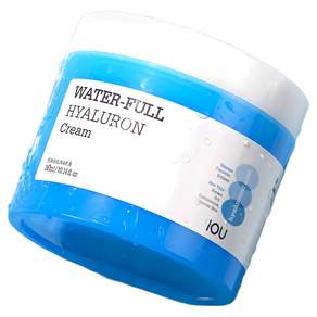 아이오유 수퍼아쿠아 모이스트 수분크림, 300g, 2개