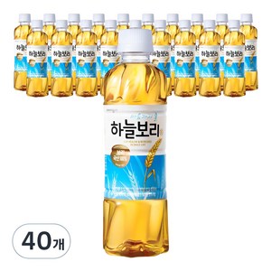 하늘보리 차 음료, 325ml, 40개