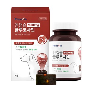 페노비스 강아지 인캡슐 영양제, 뼈/관절강화, 90g, 1개