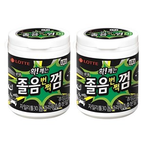 롯데웰푸드 졸음번쩍 껌, 87g, 2개