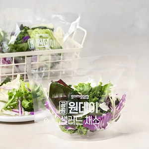 곰곰 원데이 샐러드 채소, 210g, 1봉