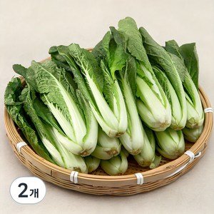 국내산 얼갈이, 1kg, 2개