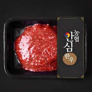 농협안심한우 1등급 다짐육 (냉장), 300g, 1팩