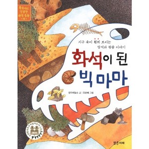 화석이 된 빅마마:지구 속이 훤히 보이는 암석과 광물 이야기, 밝은미래