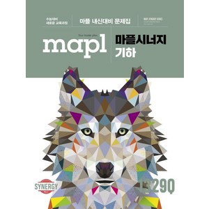 마플시너지 기하 (2024년):마플 내신대비 문제집, 희망에듀