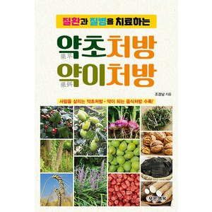 질환과 질병을 치료하는 약초처방 약이처방:사람을 살리는 약초처방ㆍ약이 되는 음식처방 수록!, 조경남, 푸른행복