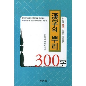 한자의 뿌리 300자:머리에 쏙쏙 정확한 자원풀이, 명문당