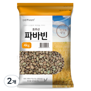 건강한밥상 파바빈, 4kg, 2개