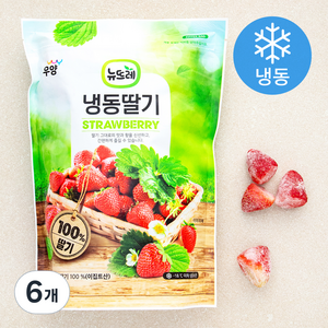 뉴뜨레 이집트산 딸기 홀 (냉동), 1kg, 6개