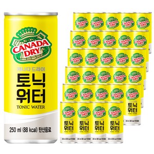 캐나다드라이 토닉워터, 250ml, 30개