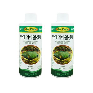 국제프리츠 원터치 박테리아 활성제 수질개선제, 250ml, 2개