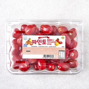 파인토 스테비아 핑크 대추방울 토마토, 500g, 1팩