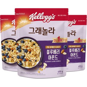 켈로그 블루베리 아몬드 그래놀라 시리얼, 450g, 3개