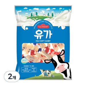 일광제과 유가, 250g, 2개