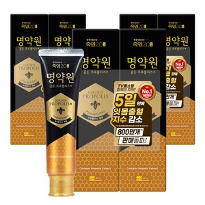 죽염 명약원 골든프로폴리스 잇몸 치약 플러스, 120g, 6개