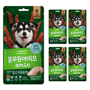 아미오 자연담은 간식 닭고기 육포 유산균 PLUS, 닭가슴살, 50g, 5개