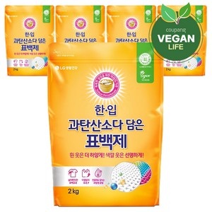 한입 과탄산소다 담은 표백제, 2kg, 5개