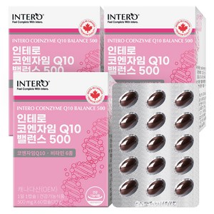 인테로 코엔자임 Q10 밸런스 500 30g, 60정, 3개