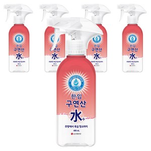 한입 구연산수 분무기형, 400ml, 5개