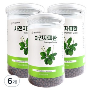 헬로우그린 차전자피 환 통, 6개, 250g