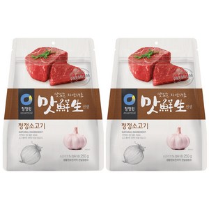 맛선생 소고기 조미료, 250g, 2개