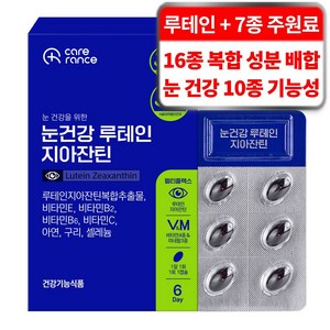 케어란스 눈건강 루테인 지아잔틴 3g, 1개, 6정