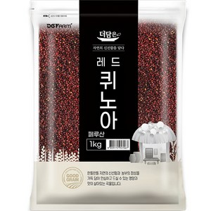 더담은 레드 퀴노아, 1kg, 1개