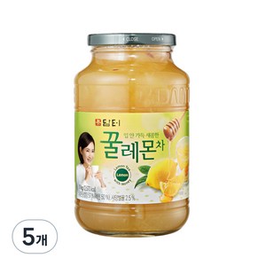 담터 꿀레몬차, 1kg, 1개입, 5개