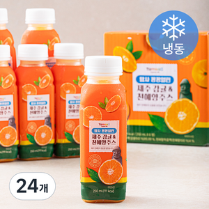 탐사 꽁꽁얼린 제주 감귤 & 천혜향 주스 (냉동), 250ml, 24개