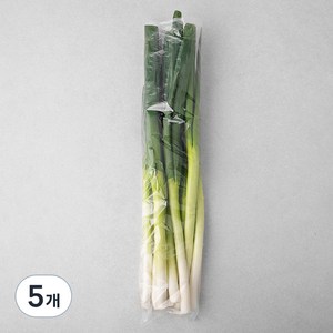 국내산 깐대파, 500g, 5개