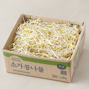 풀무원 소가 콩나물, 1kg, 1개