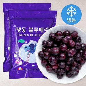 웰프레쉬 냉동 페루산 블루베리 (냉동), 1kg, 2봉