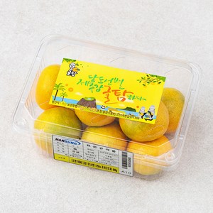 귤탐 당도선별 12bix 감귤, 500g(로열과), 1팩