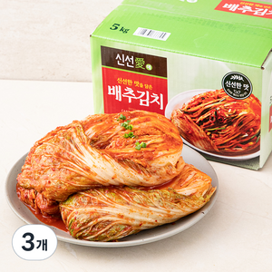 신선애 배추김치, 5kg, 3개