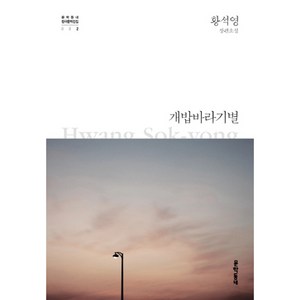 개밥바라기별 양장본, 문학동네, 글: 황석영