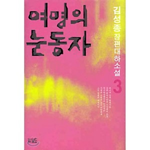 여명의 눈동자 3, 남도, 김성종 저