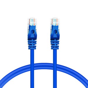 AVIVE 고급형 UTP 10m CAT6 랜선 케이블, BLUE, 1개