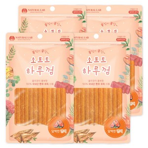 내츄럴랩 소프트 하루껌 반려견 간식, 연어 맛, 85g, 4개