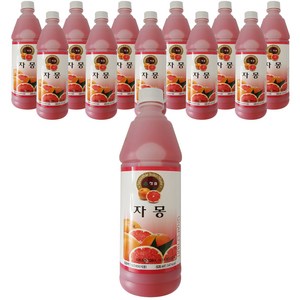 청솔 자몽 음료베이스, 835ml, 12개