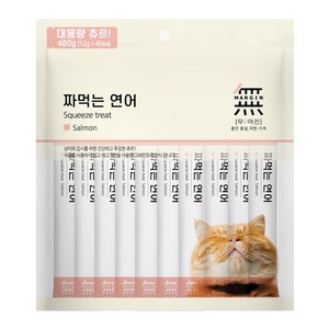 바우와우 무마진 짜먹는 고양이츄르, 연어, 480g, 1개