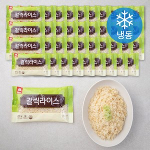 천일식품 갈릭라이스 (냉동), 200g, 40개