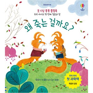 Usborne왜 죽는 걸까요?:우리 아이 첫 과학책 | 죽음과 감정, 어스본코리아, 케이티 데이니스